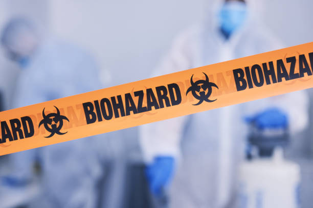 Professional Odor Removal technician working in Harrison, AR